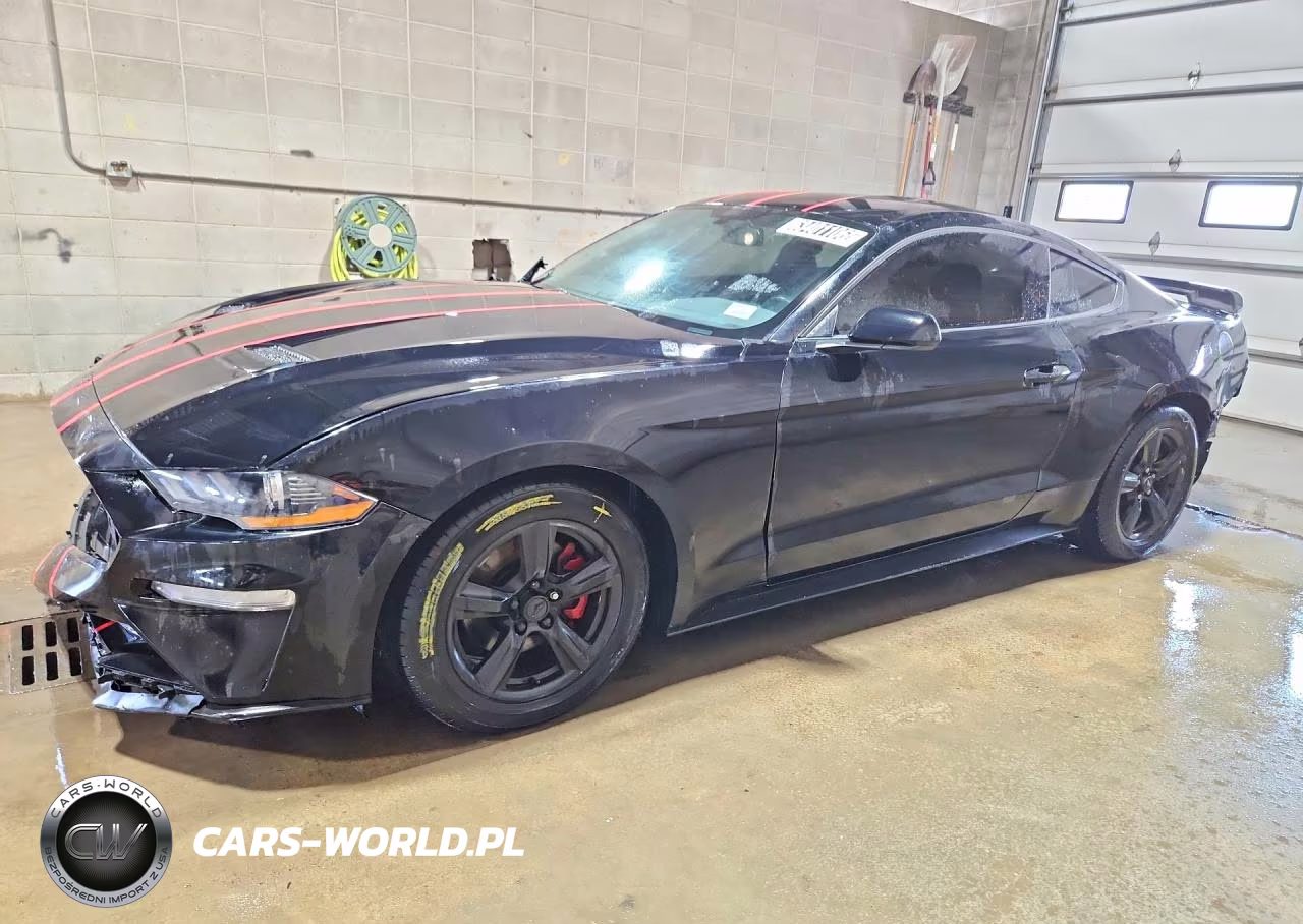 2019 Ford Mustang