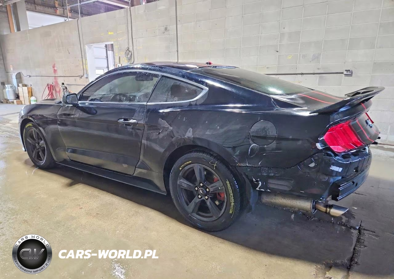 2019 Ford Mustang VIN:1FA6P8TH3K5116262 - 2