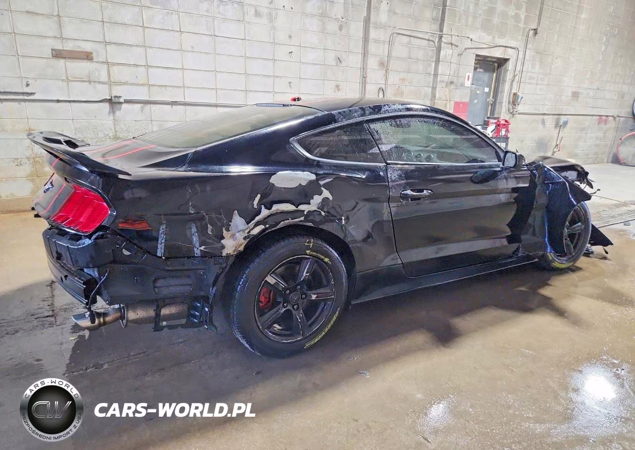 2019 Ford Mustang VIN:1FA6P8TH3K5116262 - 3