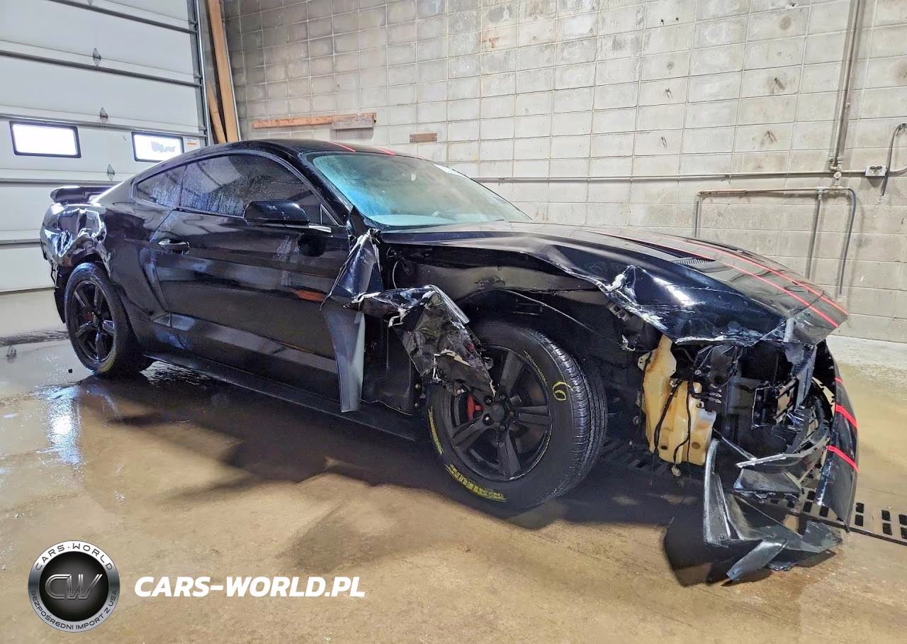 2019 Ford Mustang VIN:1FA6P8TH3K5116262 - 4