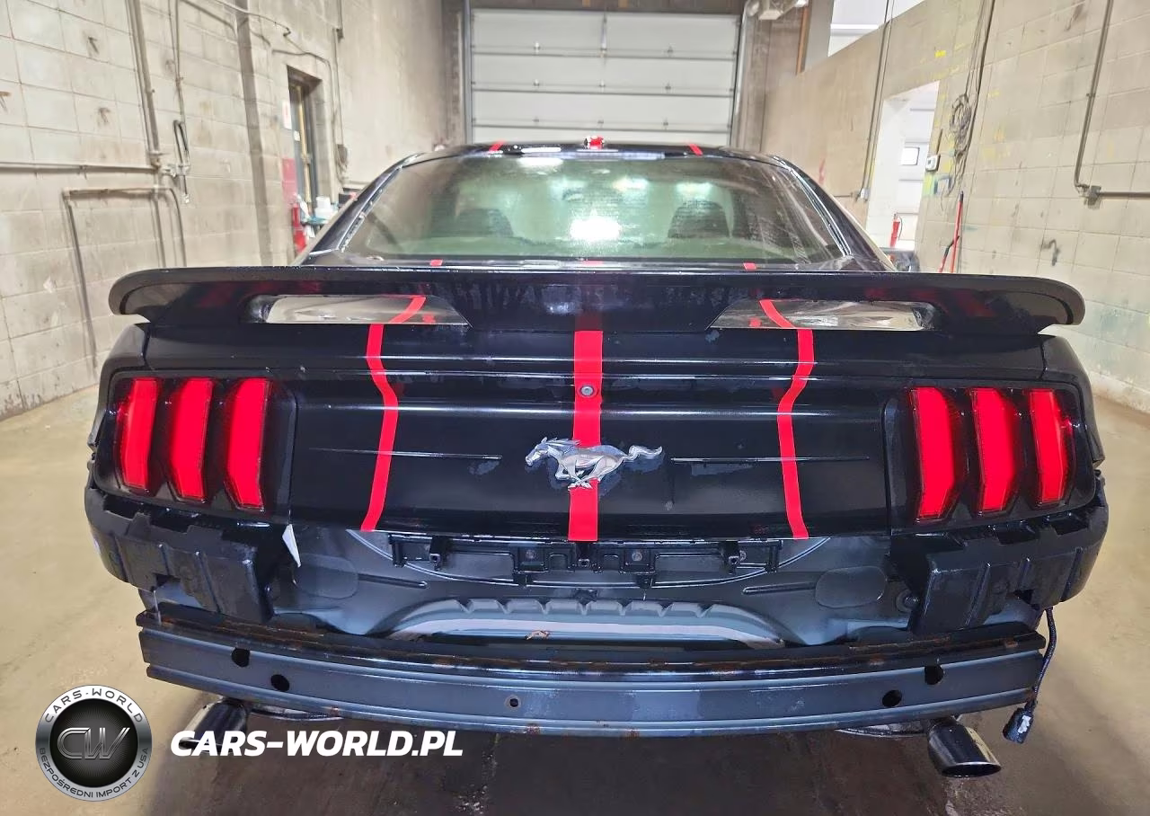 2019 Ford Mustang VIN:1FA6P8TH3K5116262 - 6