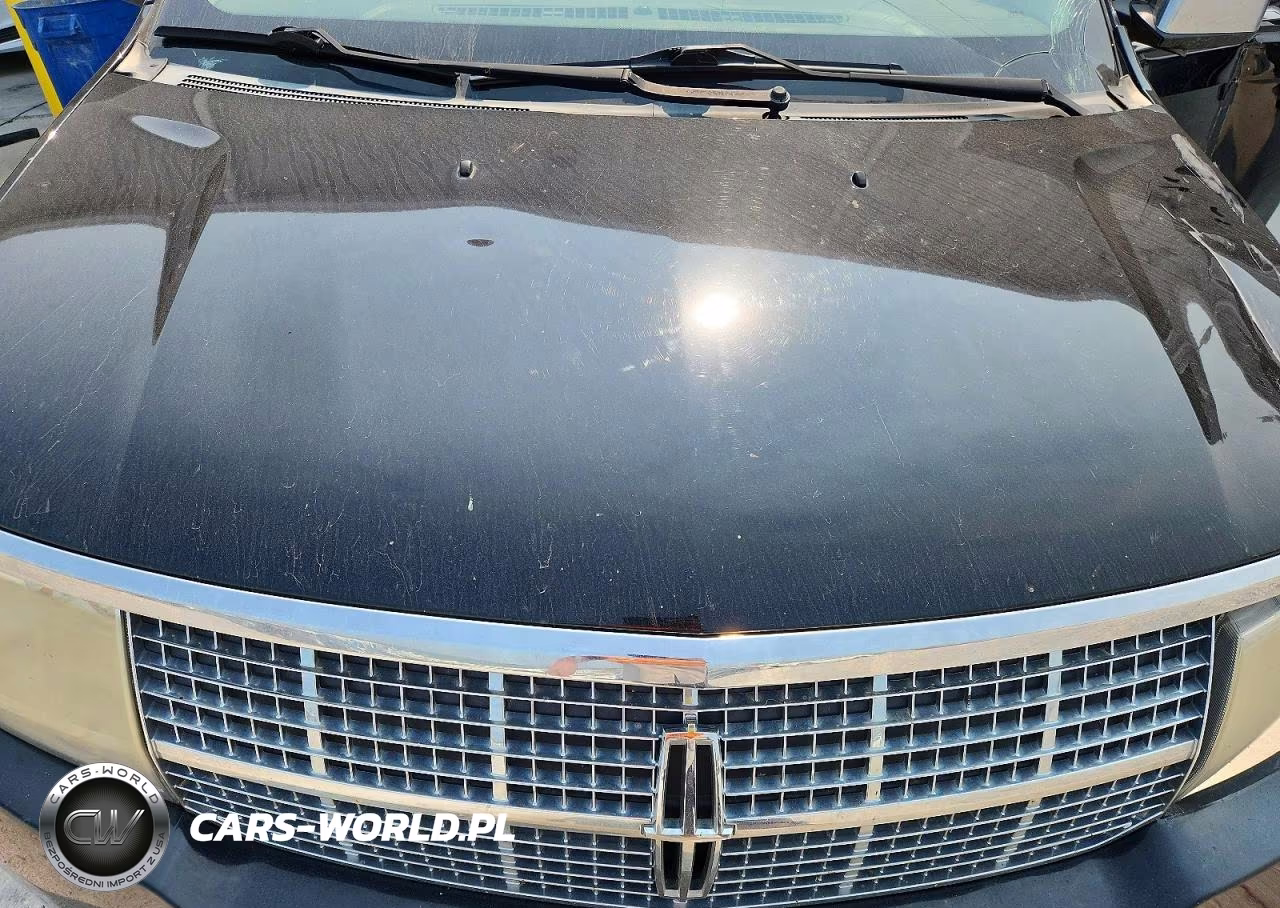 2007 Lincoln Mkx Select VIN:2LMDU88C07BJ06119 - 12