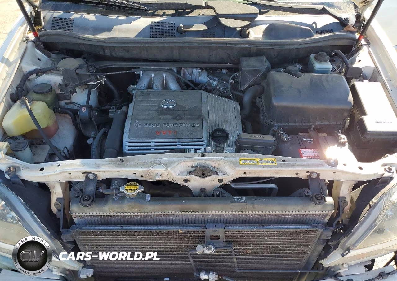 2000 Lexus Rx 300 VIN:JT6HF10U6Y0142320 - 12