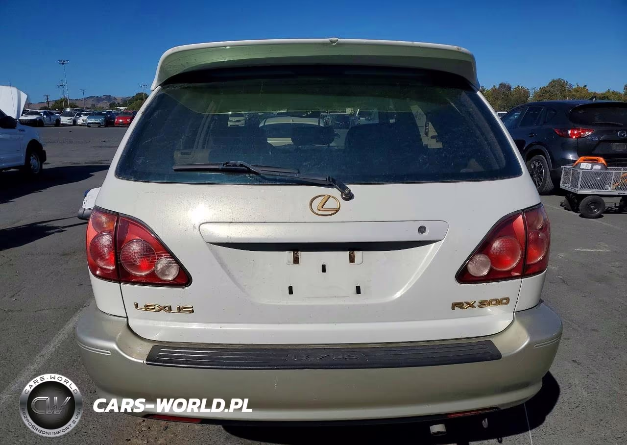 2000 Lexus Rx 300 VIN:JT6HF10U6Y0142320 - 6