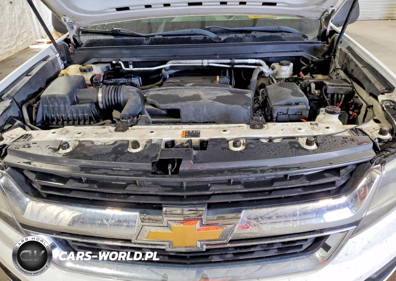 2019 Chevrolet Colorado VIN:1GCHSBEA0K1281756 - 11