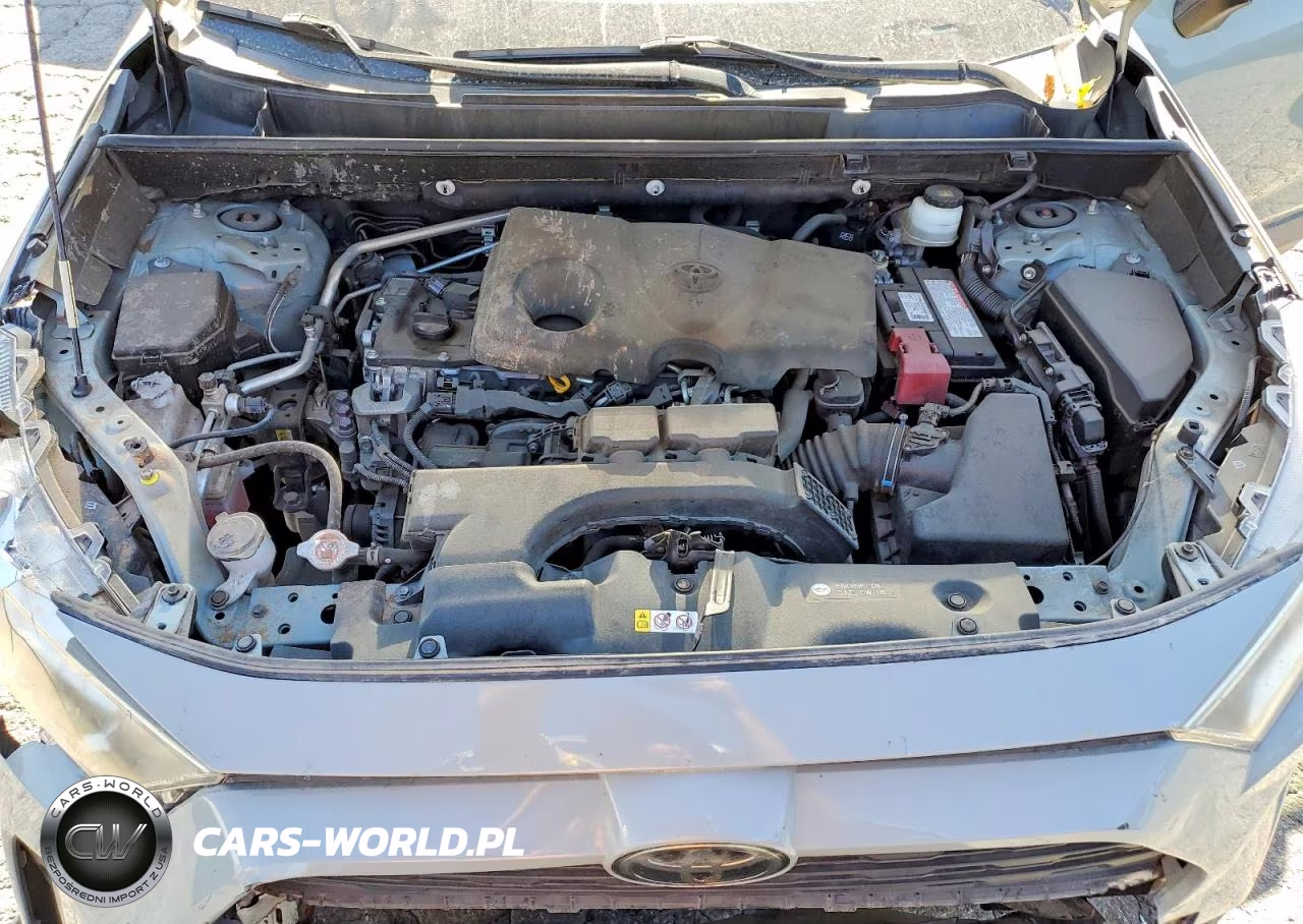 2019 Toyota Rav4 Xle VIN:JTMW1RFV4KD511396 - 12