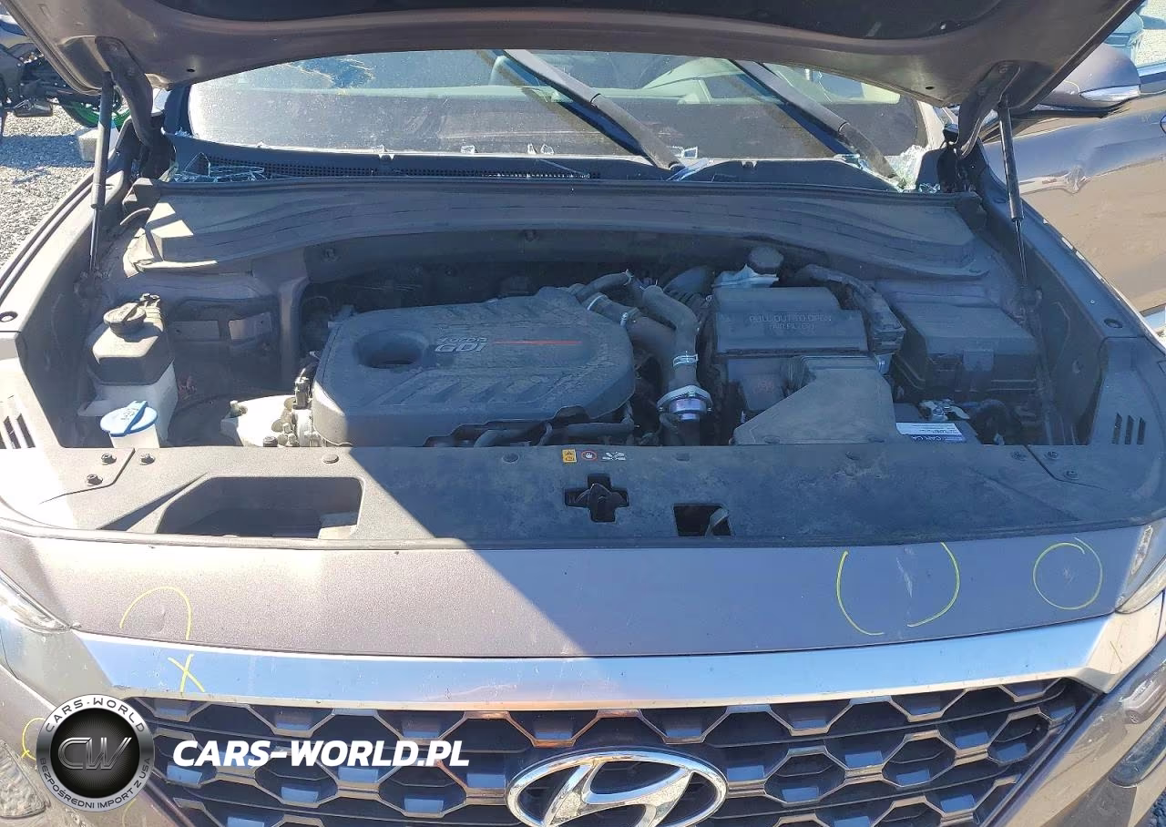 2019 Hyundai Santa Fe Ultimate 2.0T VIN:5NMS5CAA9KH079190 - 12