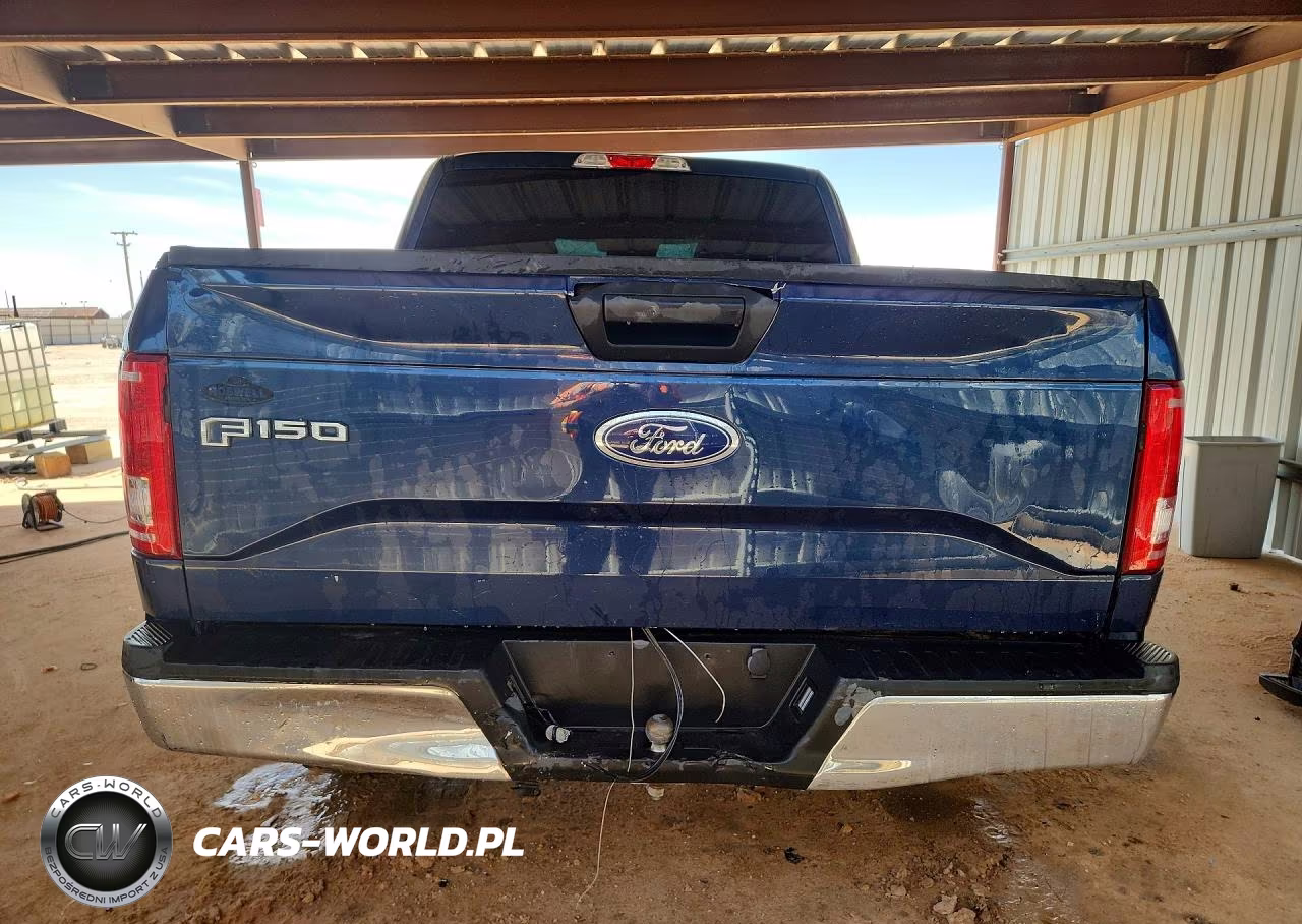 2017 Ford F150 Supercrew VIN:1FTEW1E83HKD82159 - 6