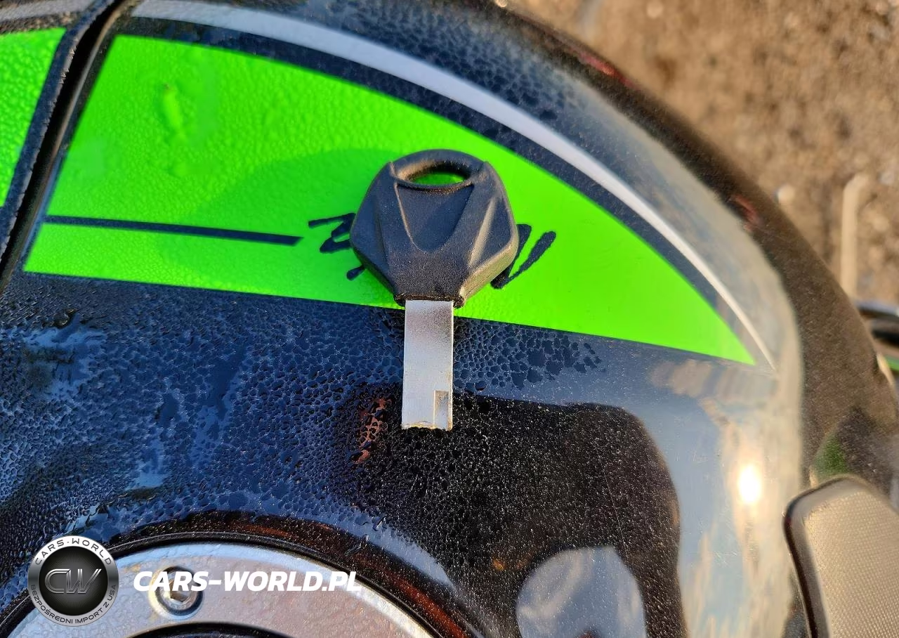 2017 Kawasaki Zx1000 R VIN:JKAZXCR1XHA005044 - 8