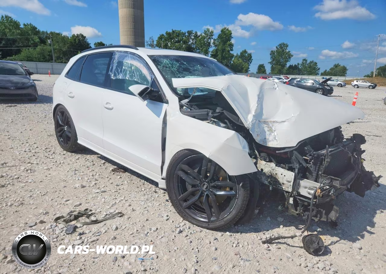2015 Audi Sq5 Premium Plus VIN:WA1CGAFP0FA094378 - 4