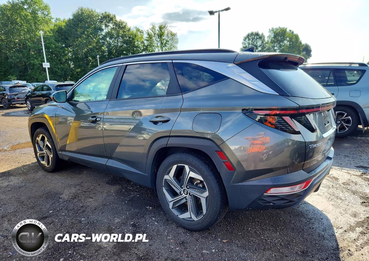 2022 Hyundai Tucson Sel VIN:5NMJCCAE0NH043039 - 2