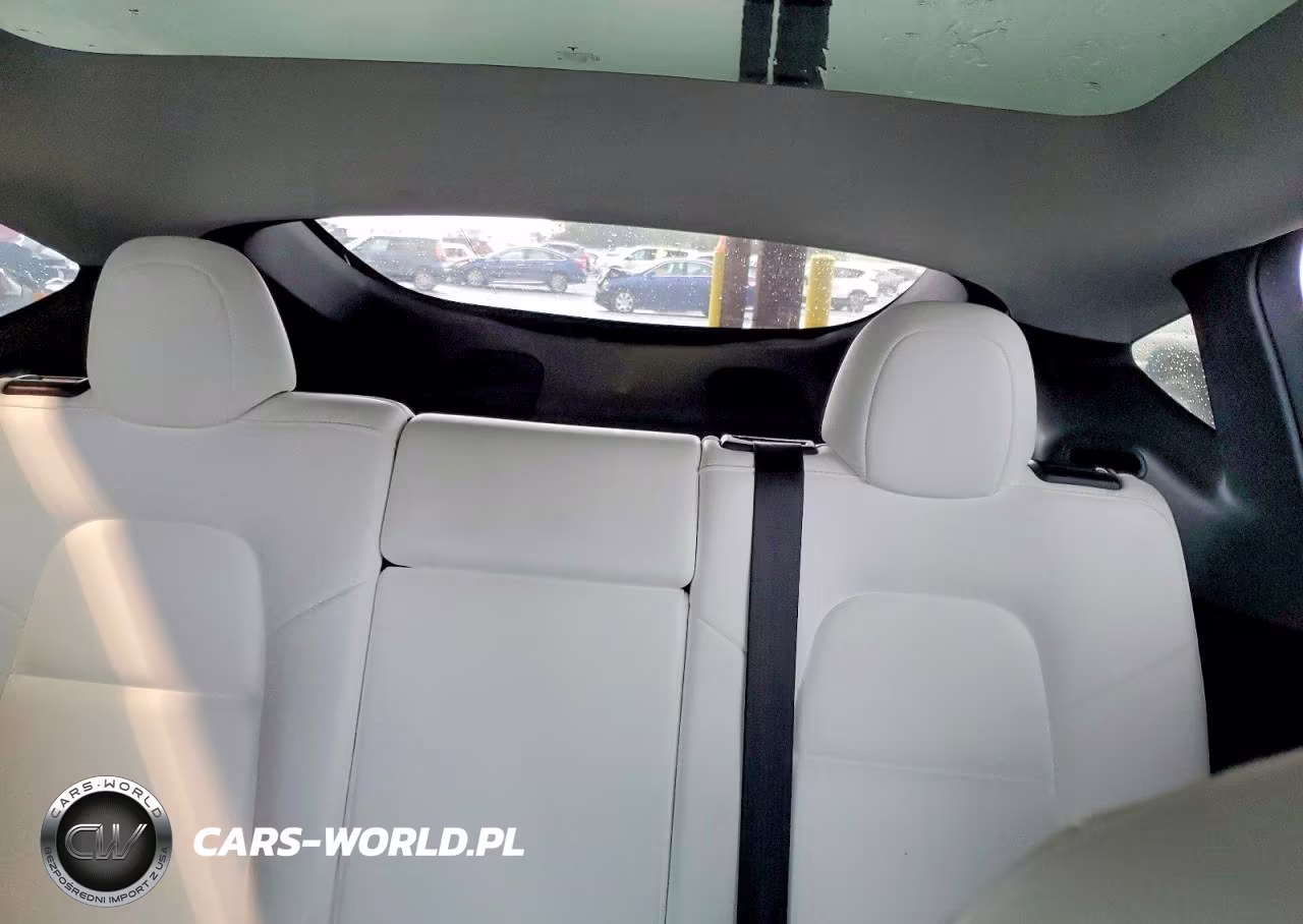2024 Tesla Model Y VIN:7SAYGDEF0RF038851 - 10