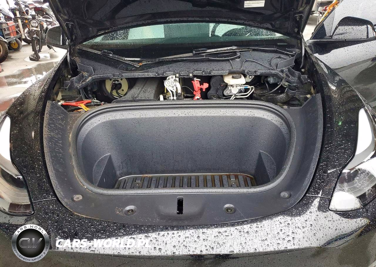 2024 Tesla Model Y VIN:7SAYGDEF0RF038851 - 12