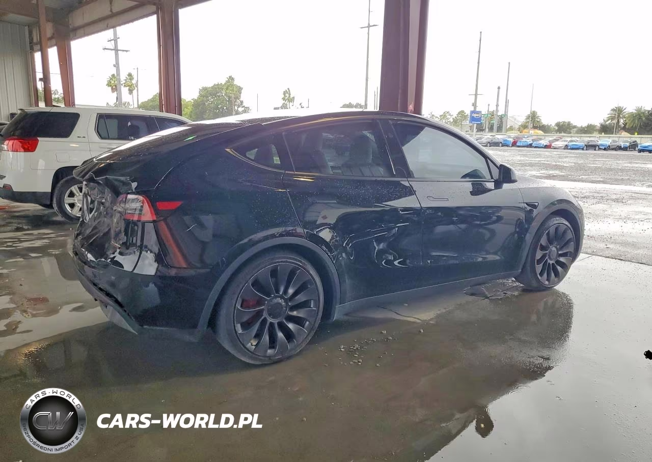 2024 Tesla Model Y VIN:7SAYGDEF0RF038851 - 3