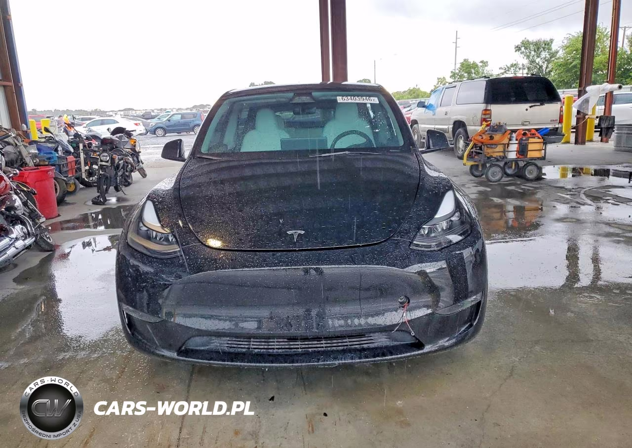 2024 Tesla Model Y VIN:7SAYGDEF0RF038851 - 5