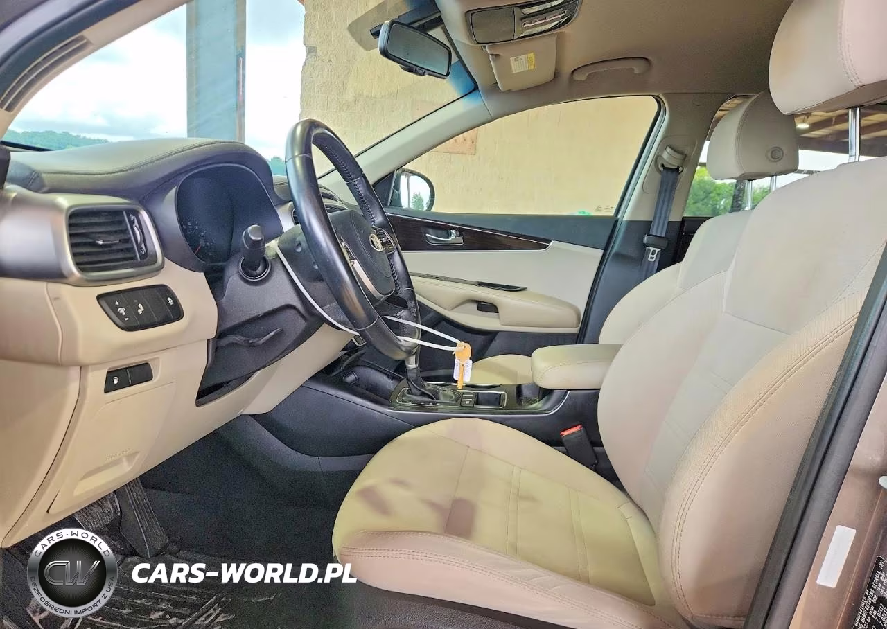 2019 Kia Sorento Lx VIN:5XYPG4A36KG528780 - 7