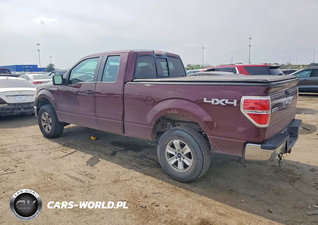 2009 Ford F150 Super Cab VIN:1FTRX14899FA51564 - 2