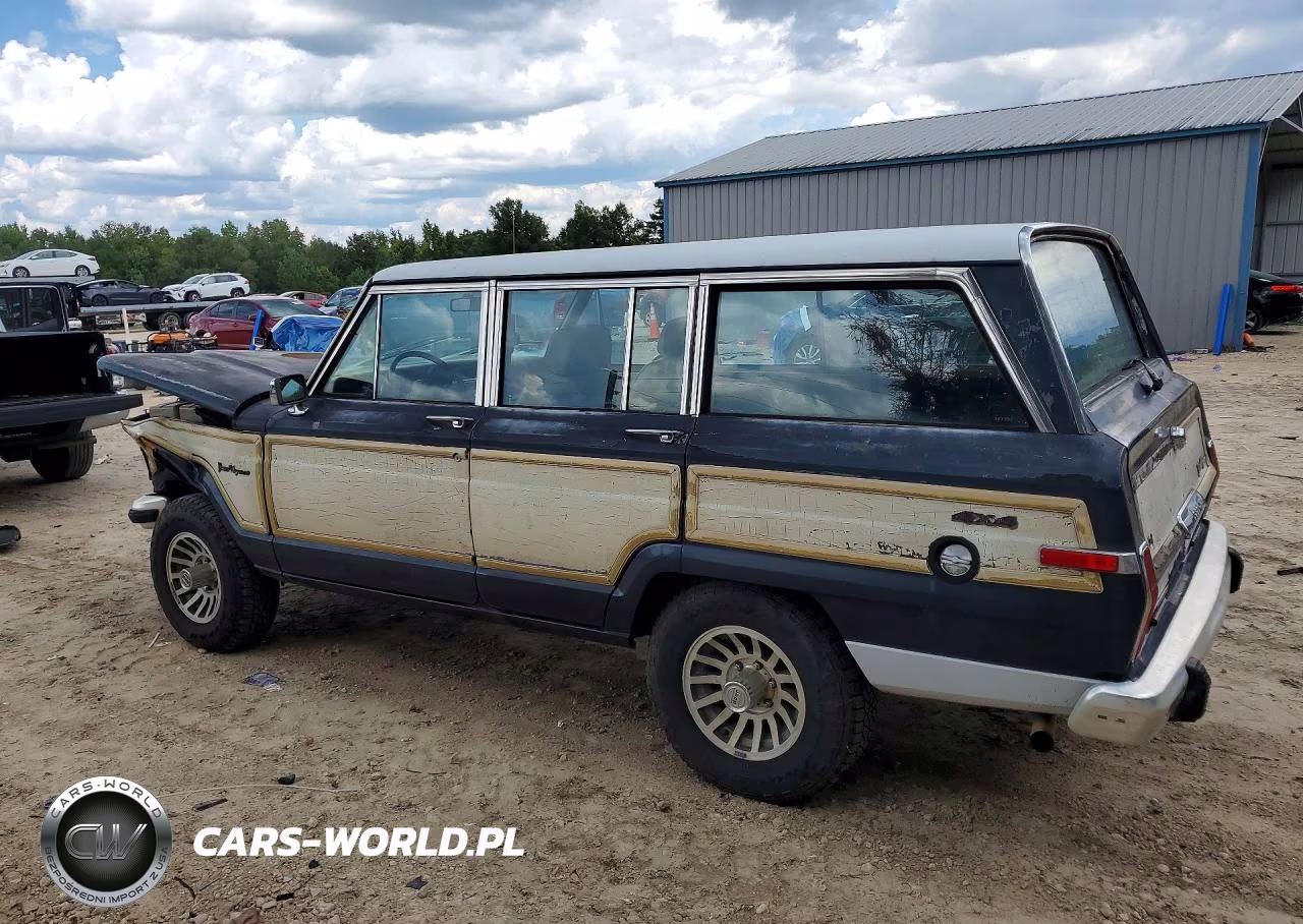 1990 Jeep Grand Wagoneer VIN:1J4GS5876LP501021 - 2