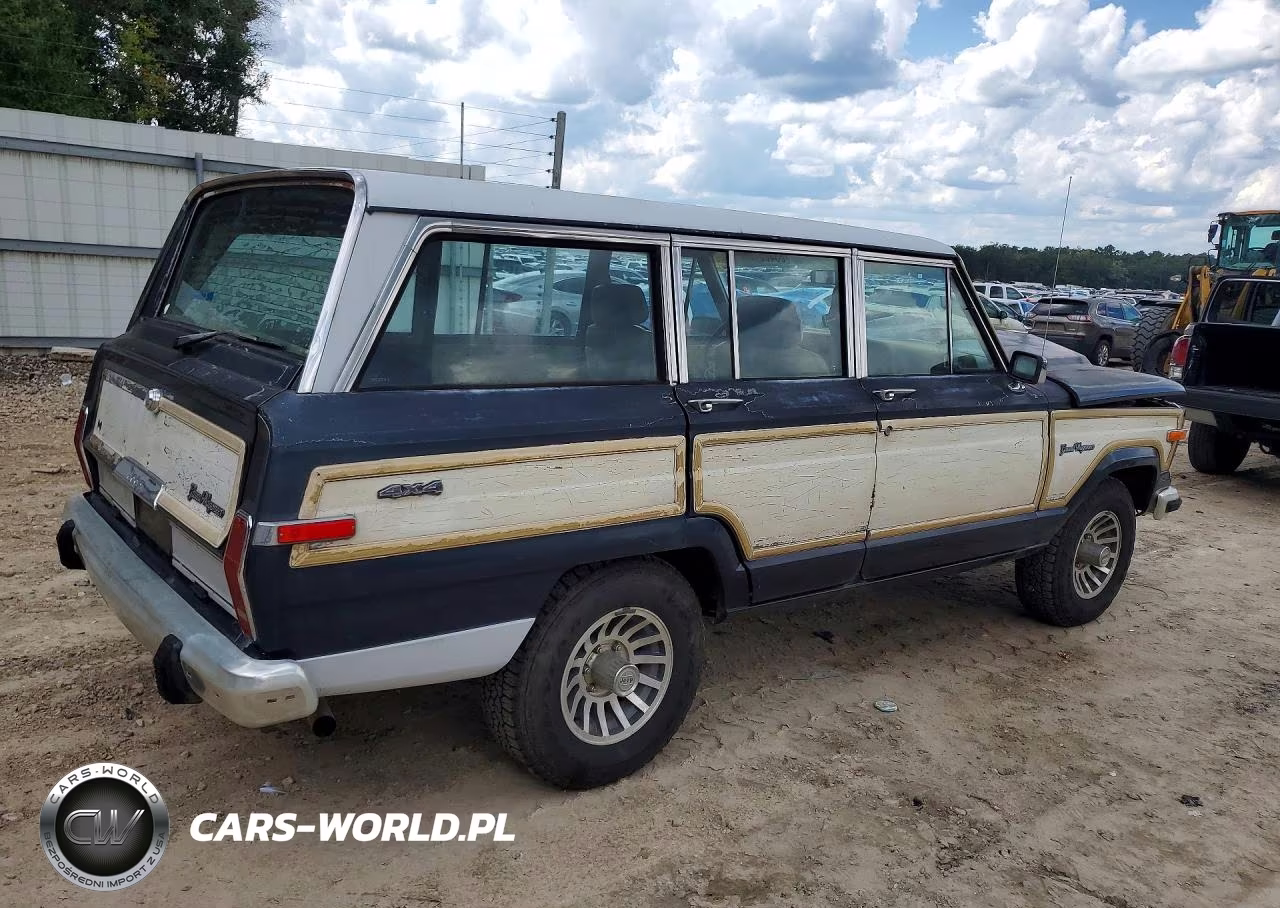 1990 Jeep Grand Wagoneer VIN:1J4GS5876LP501021 - 3