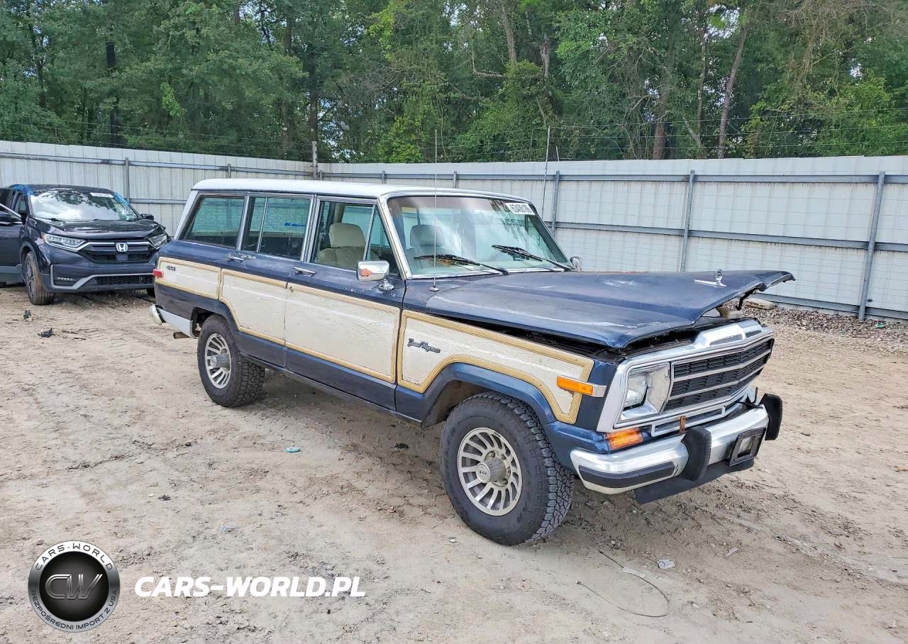 1990 Jeep Grand Wagoneer VIN:1J4GS5876LP501021 - 4