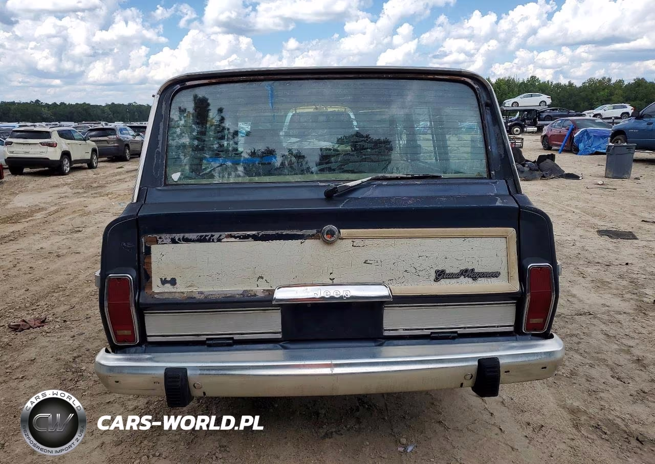 1990 Jeep Grand Wagoneer VIN:1J4GS5876LP501021 - 6