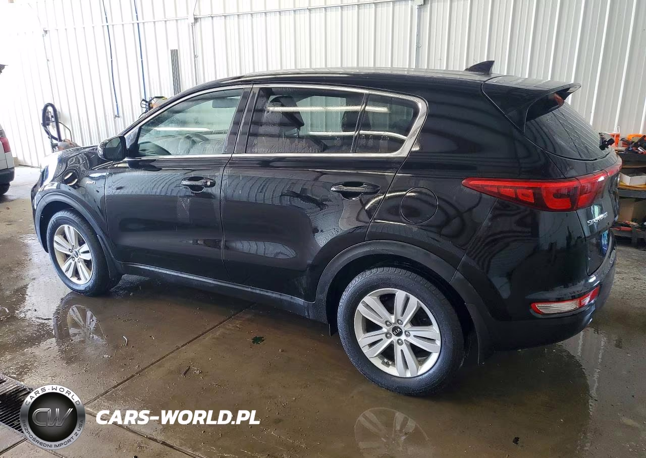 2018 Kia Sportage Lx VIN:KNDPMCAC7J7447317 - 2