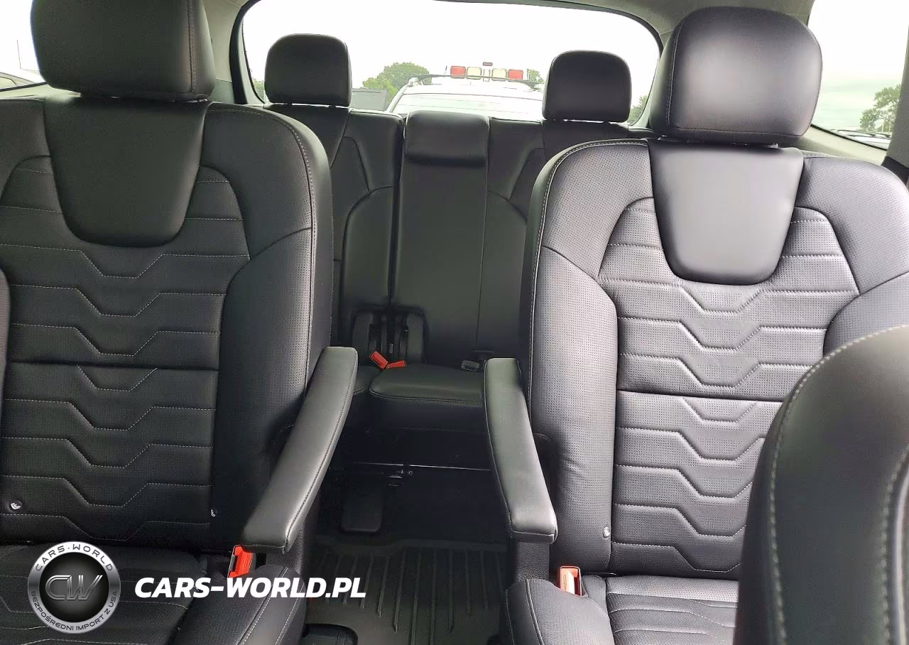 2021 Kia Telluride Sx VIN:5XYP5DHC9MG187826 - 10
