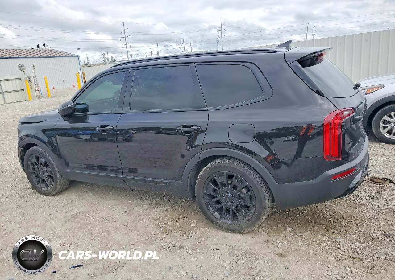 2021 Kia Telluride Sx VIN:5XYP5DHC9MG187826 - 2