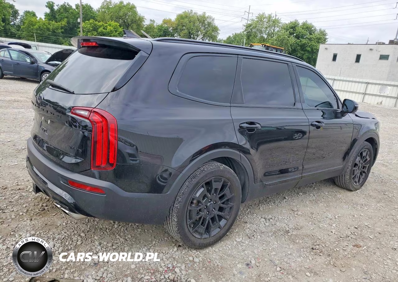 2021 Kia Telluride Sx VIN:5XYP5DHC9MG187826 - 3