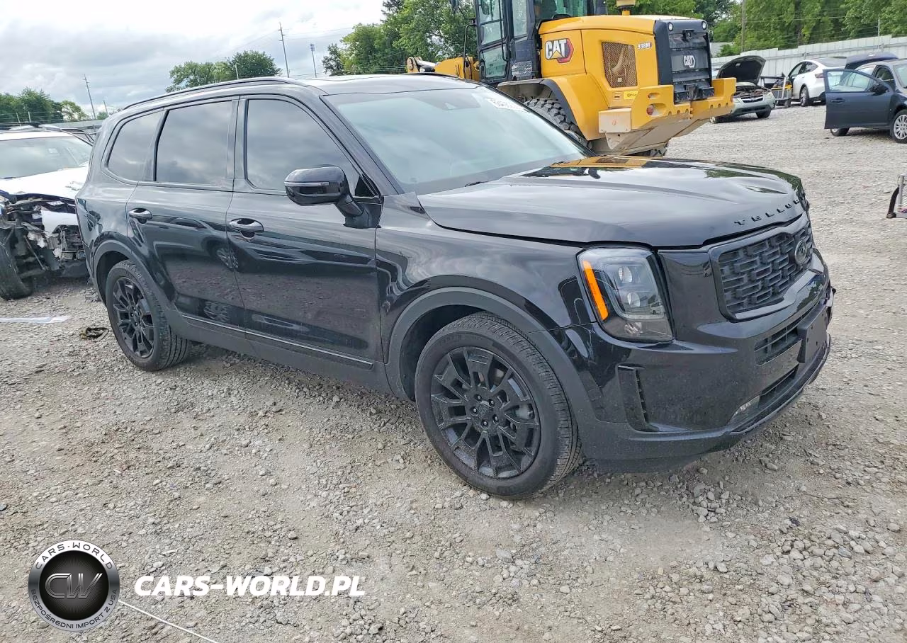 2021 Kia Telluride Sx VIN:5XYP5DHC9MG187826 - 4