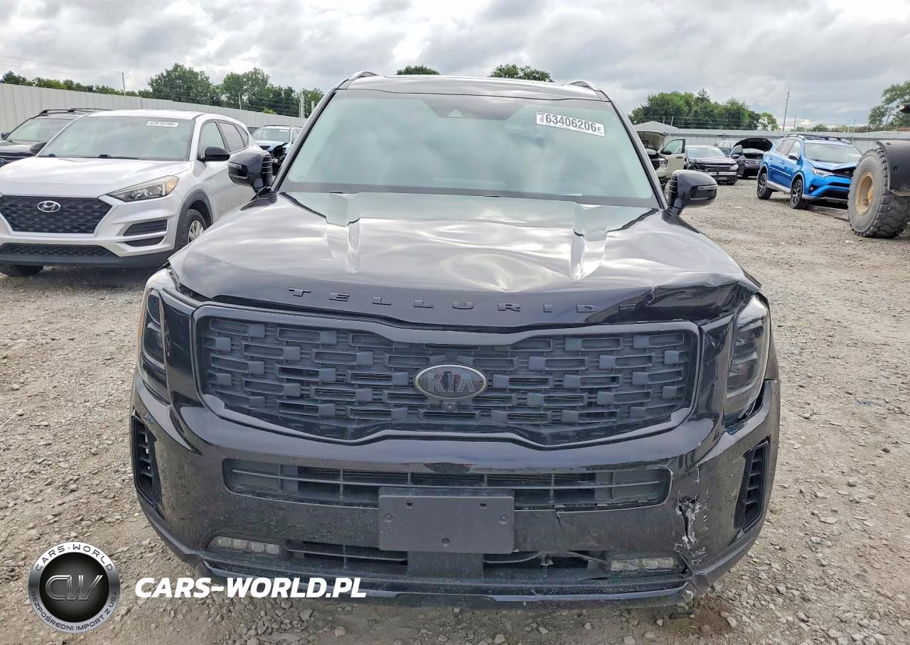 2021 Kia Telluride Sx VIN:5XYP5DHC9MG187826 - 5