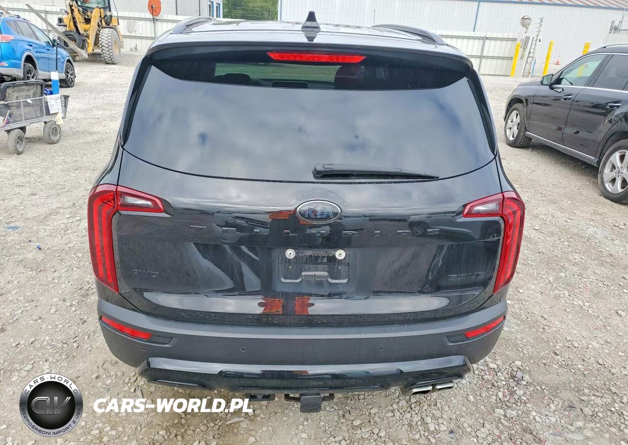 2021 Kia Telluride Sx VIN:5XYP5DHC9MG187826 - 6