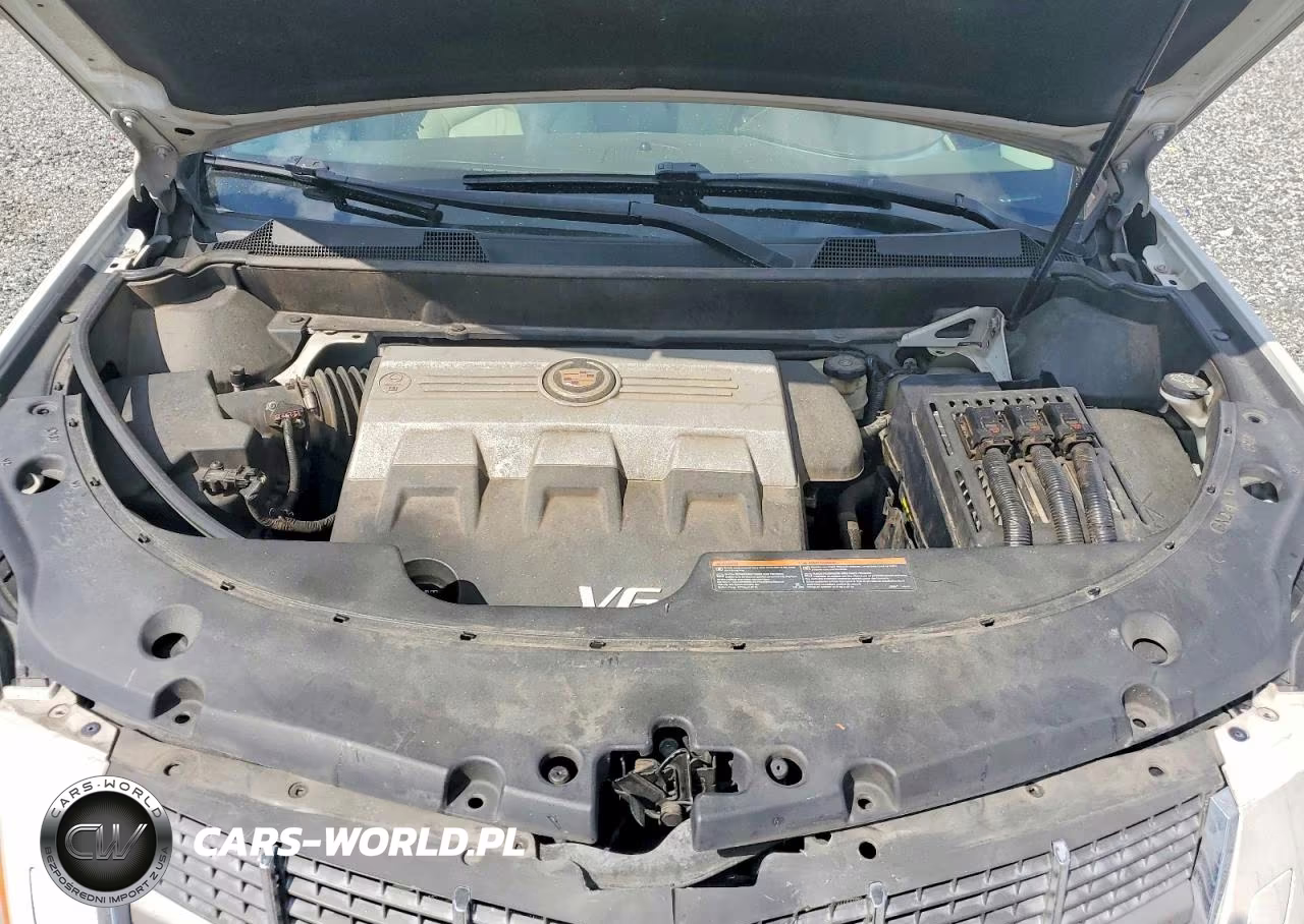2010 Cadillac Srx Performance Collection VIN:3GYFNBEY5AS589153 - 11