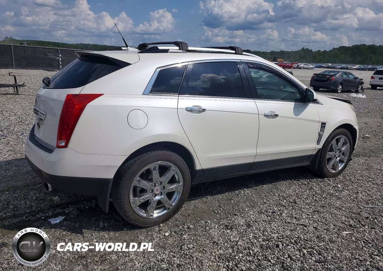 2010 Cadillac Srx Performance Collection VIN:3GYFNBEY5AS589153 - 3