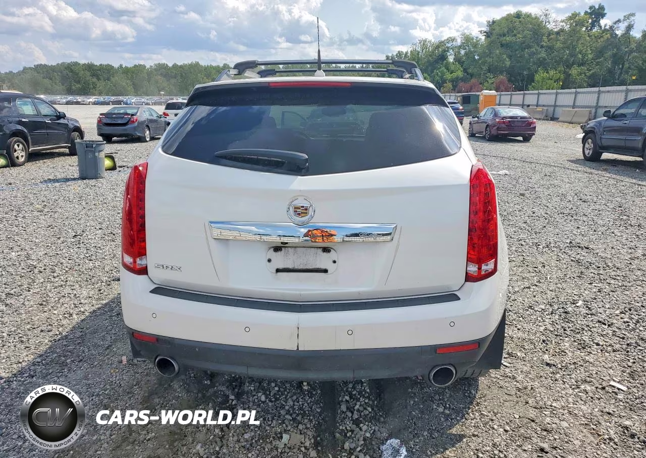 2010 Cadillac Srx Performance Collection VIN:3GYFNBEY5AS589153 - 6