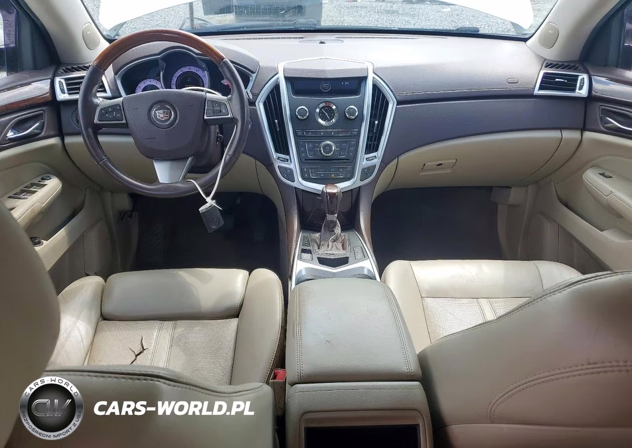 2010 Cadillac Srx Performance Collection VIN:3GYFNBEY5AS589153 - 8
