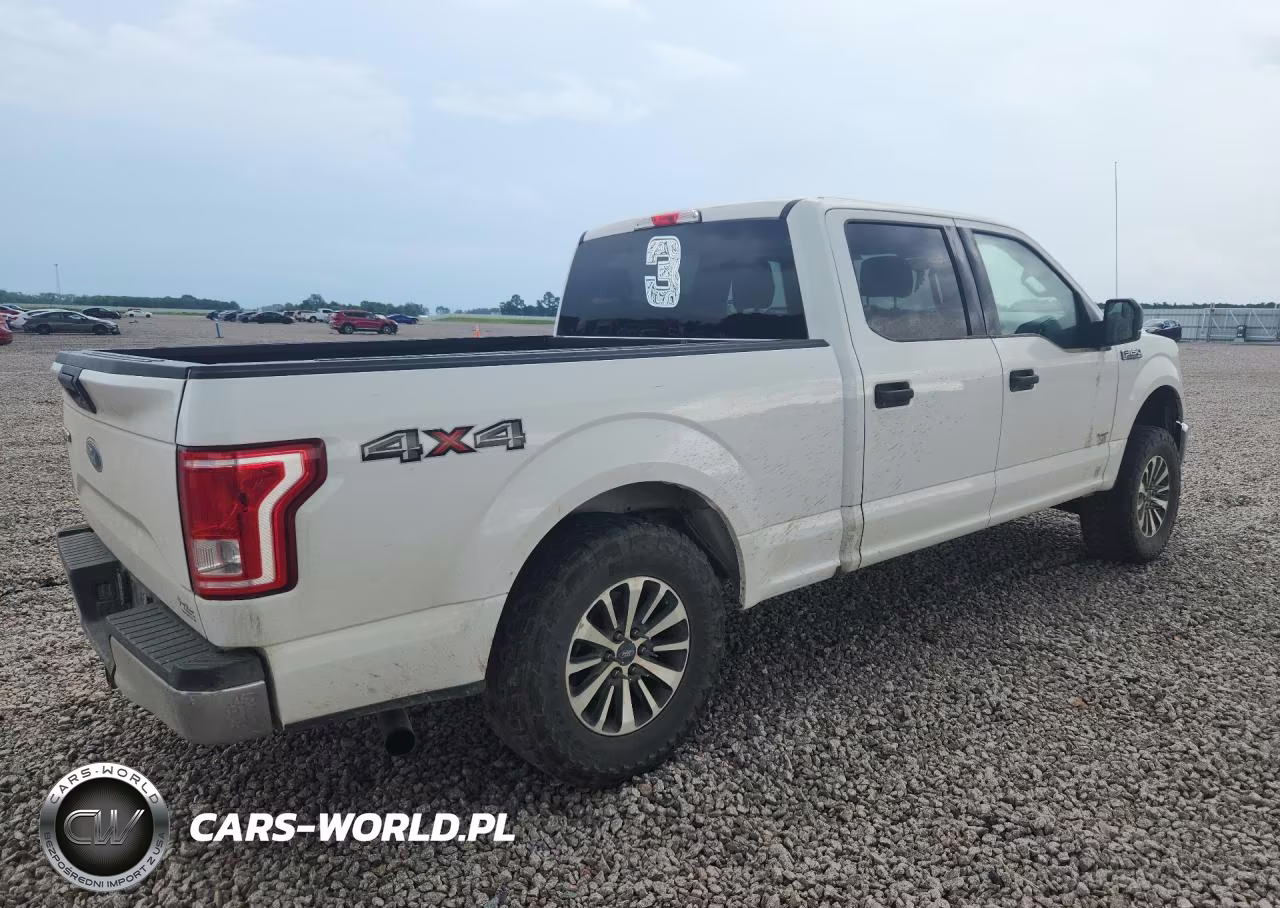 2016 Ford F150 Supercrew VIN:1FTFW1EG8GFC48427 - 3