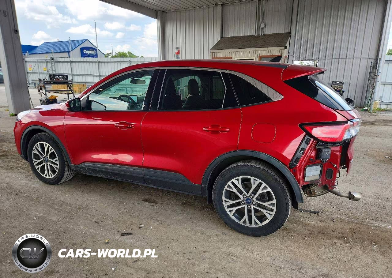 2022 Ford Escape Sel VIN:1FMCU0H64NUB24617 - 2