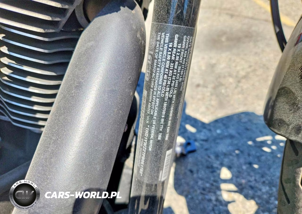 2023 Harley-Davidson Fxlrs VIN:1HD1YWZ27PB061783 - 10