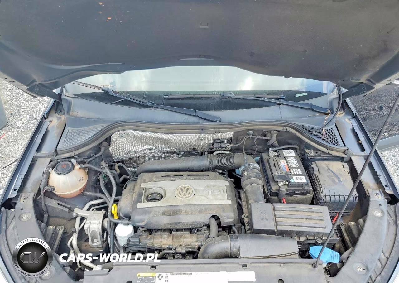 2017 Volkswagen Tiguan S VIN:WVGAV7AX5HK050799 - 12