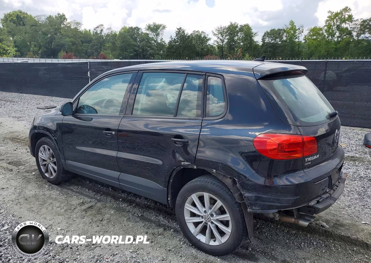 2017 Volkswagen Tiguan S VIN:WVGAV7AX5HK050799 - 2
