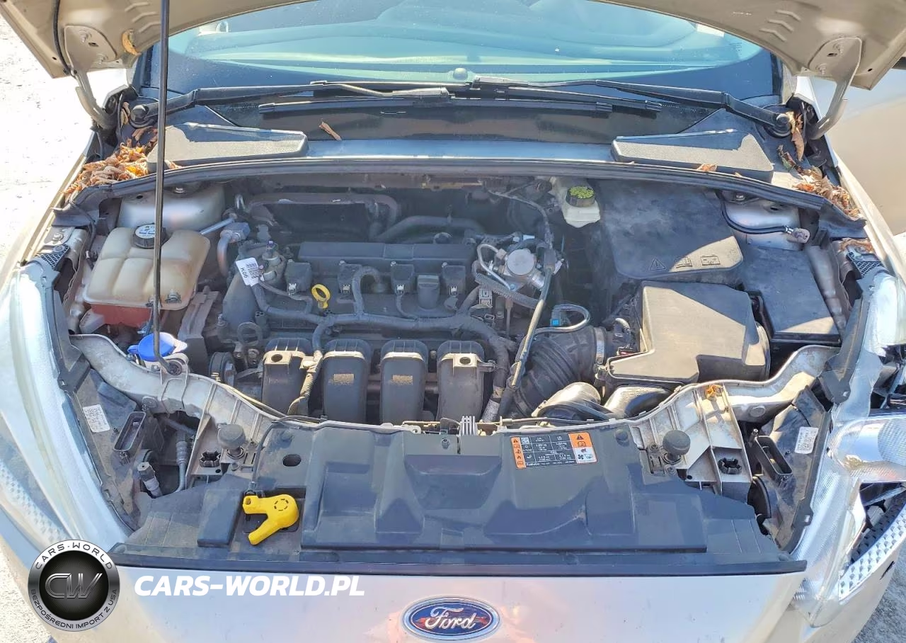 2017 Ford Focus Se VIN:1FADP3F26HL296844 - 11