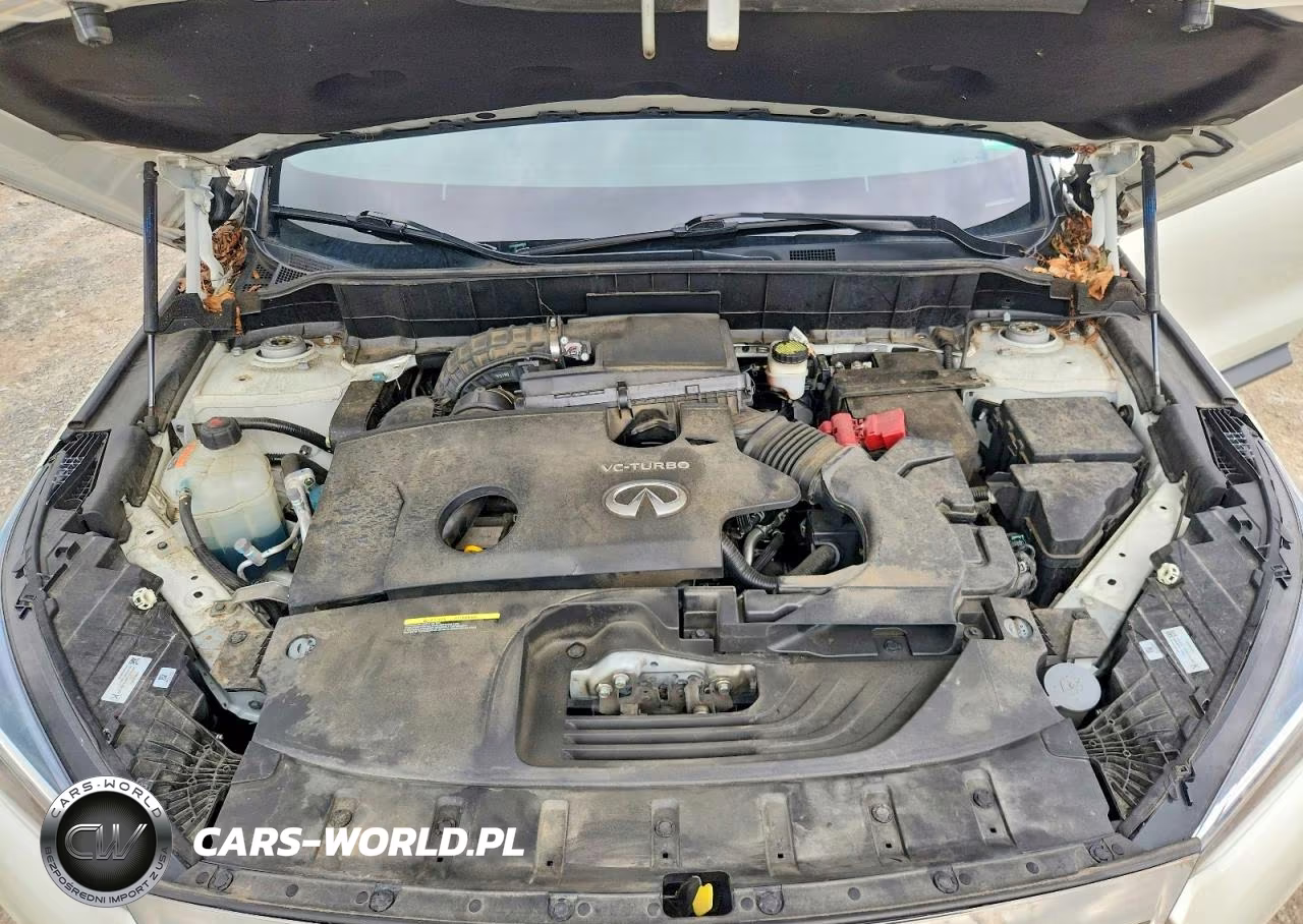 2020 Infiniti Qx50 Essential VIN:3PCAJ5M39LF118377 - 12
