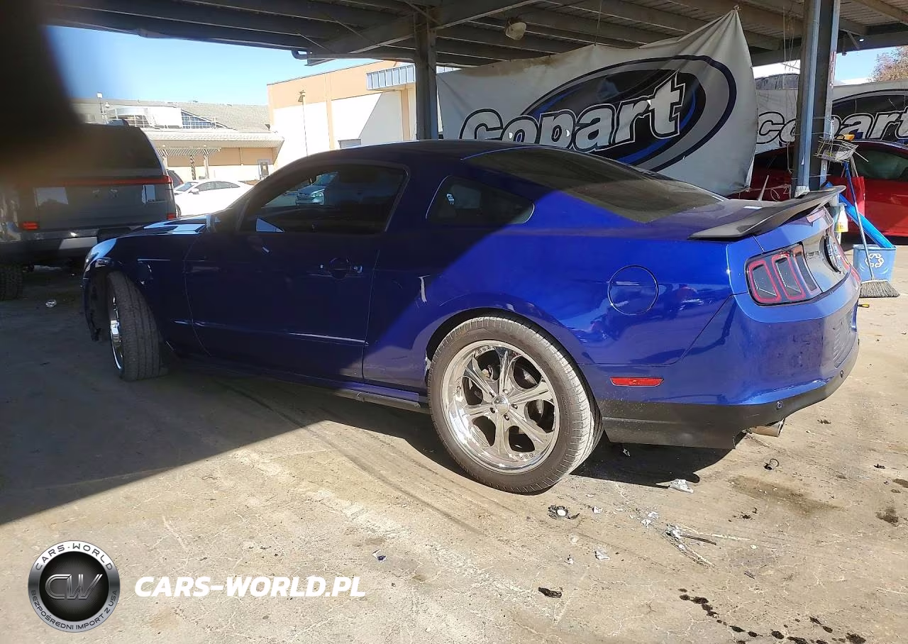 2013 Ford Mustang VIN:1ZVBP8AM8D5235496 - 2