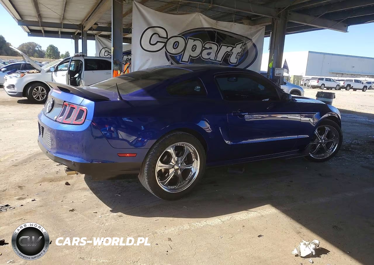 2013 Ford Mustang VIN:1ZVBP8AM8D5235496 - 3