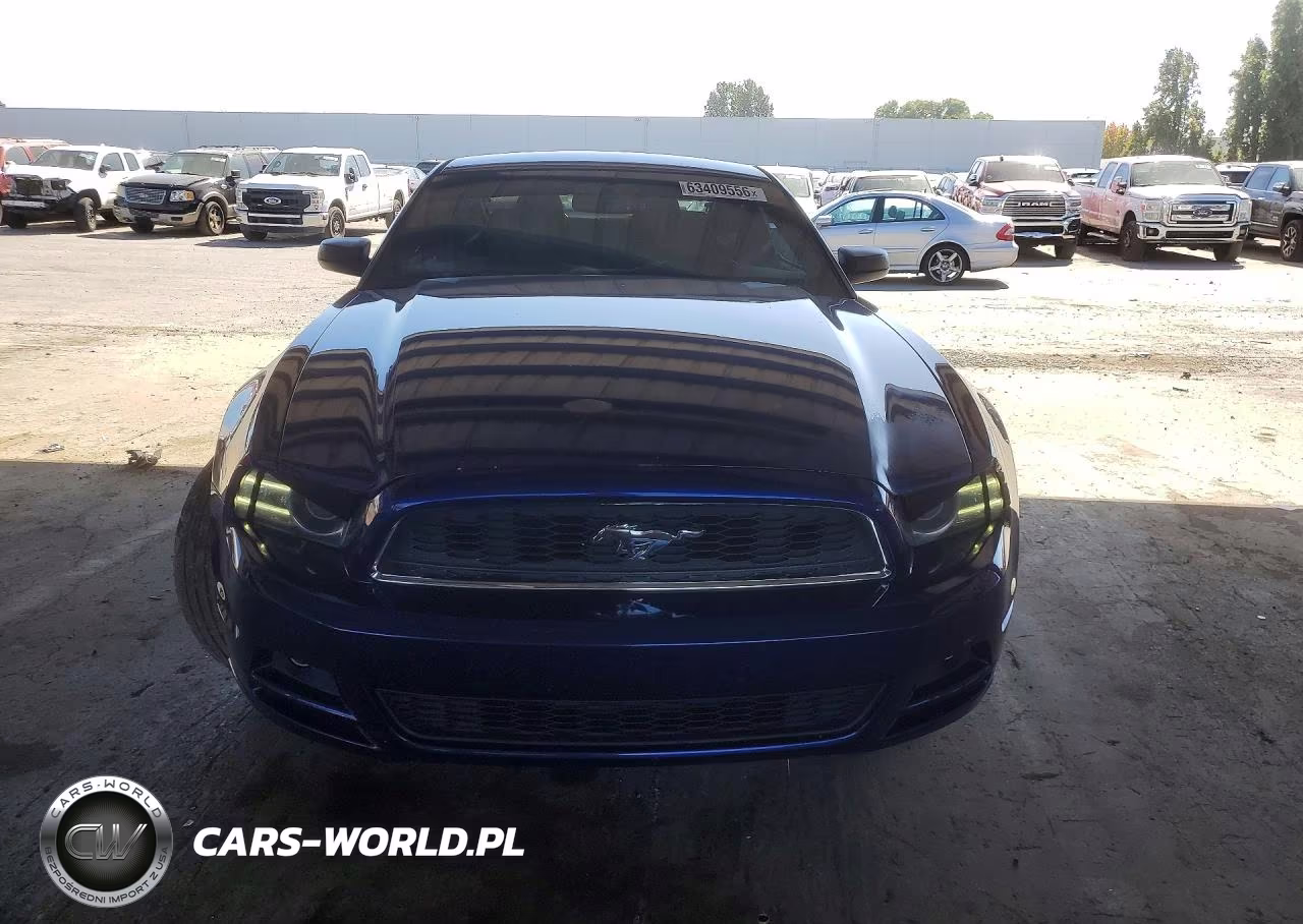 2013 Ford Mustang VIN:1ZVBP8AM8D5235496 - 5