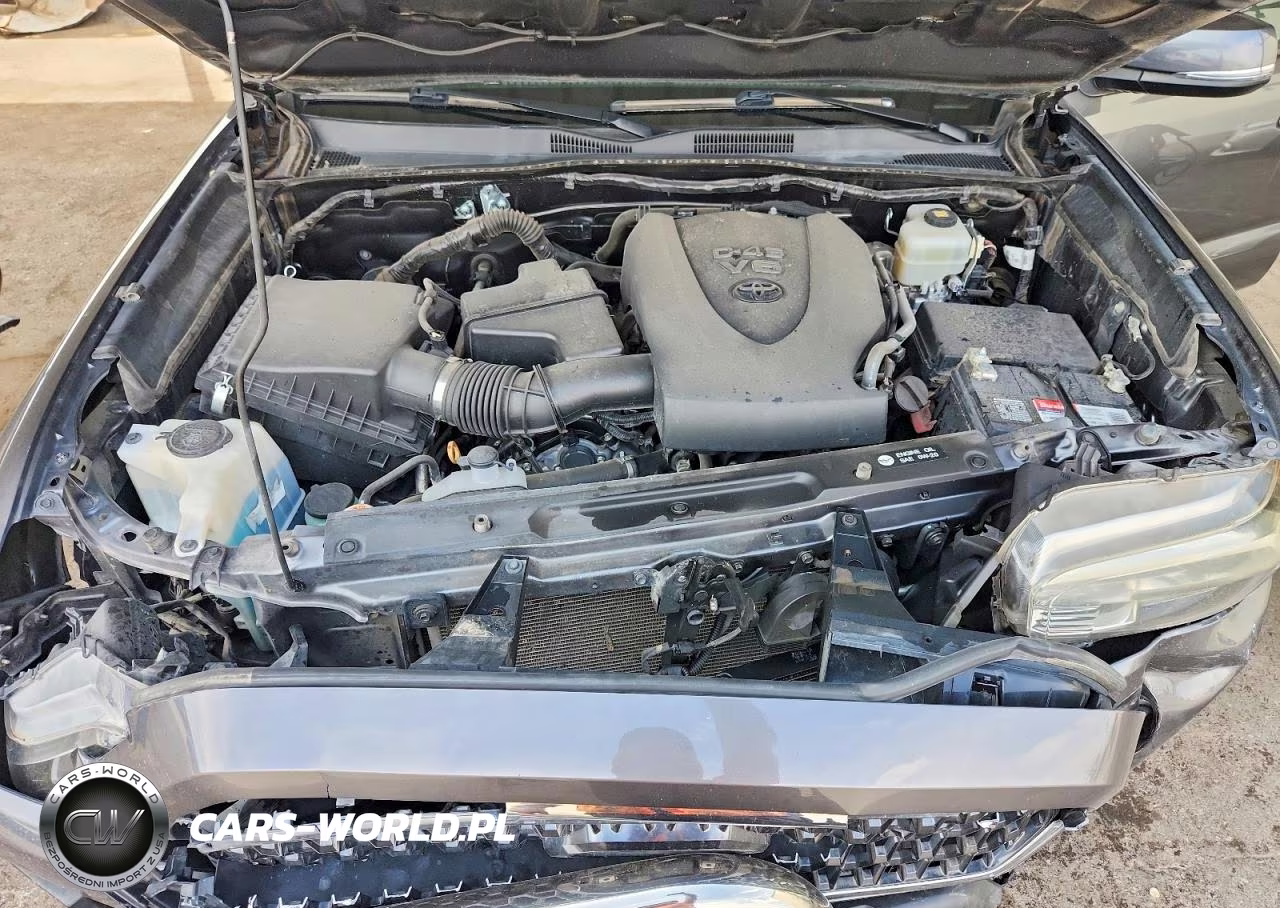 2019 Toyota Tacoma Trd Off-Road VIN:3TMCZ5AN4KM241618 - 11