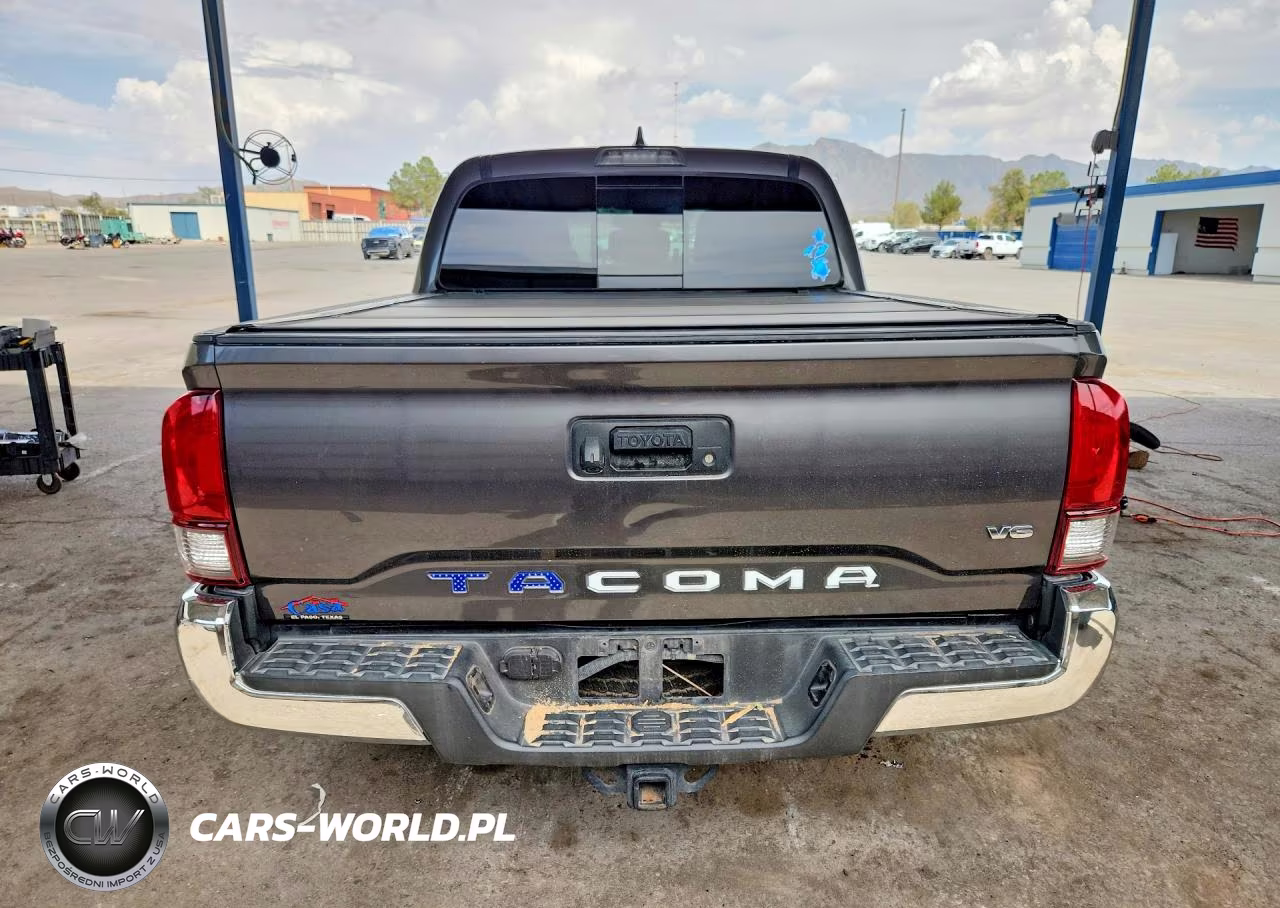 2019 Toyota Tacoma Trd Off-Road VIN:3TMCZ5AN4KM241618 - 6
