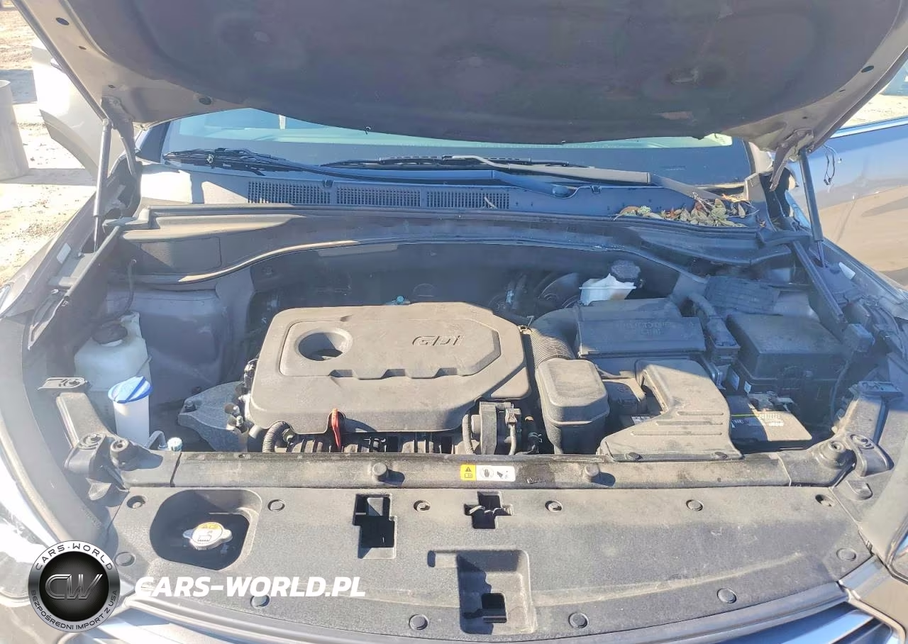 2018 Hyundai Santa Fe Sport 2.4L VIN:5XYZU3LB0JG551955 - 12