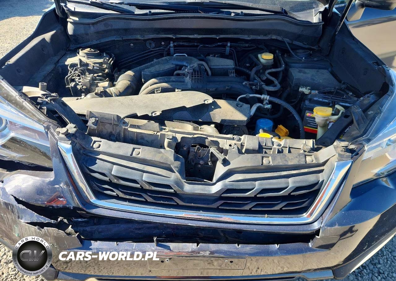 2017 Subaru Forester 2.5I Limited VIN:JF2SJARC7HH493537 - 12
